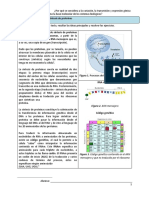 La traducción: proceso de síntesis de proteínas en los ribosomas