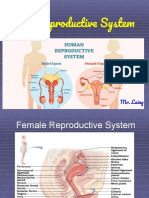 The Reproductive System: Mr. Laing