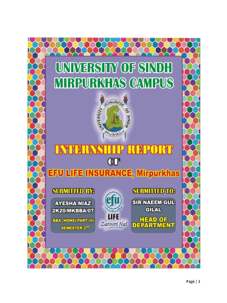 an-overview-of-the-internship-experience-at-efu-life-insurance