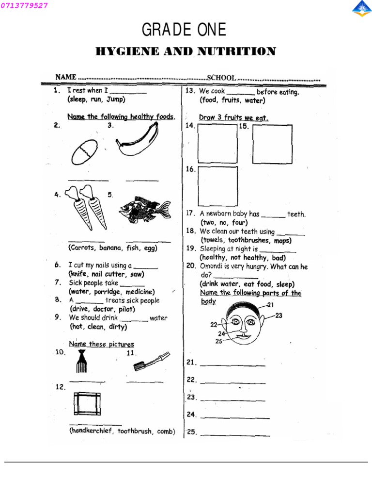 Grade One: Hygiene and Nutrition | PDF