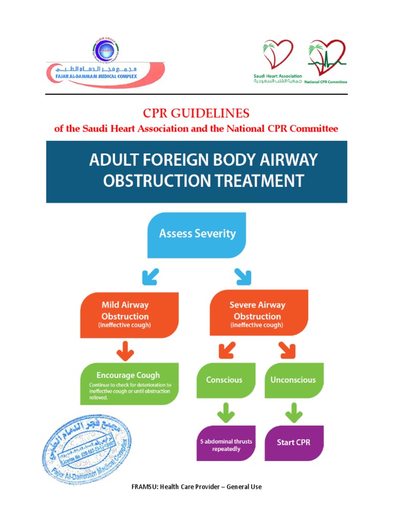 Saudi CPR Guidelines Overview | PDF