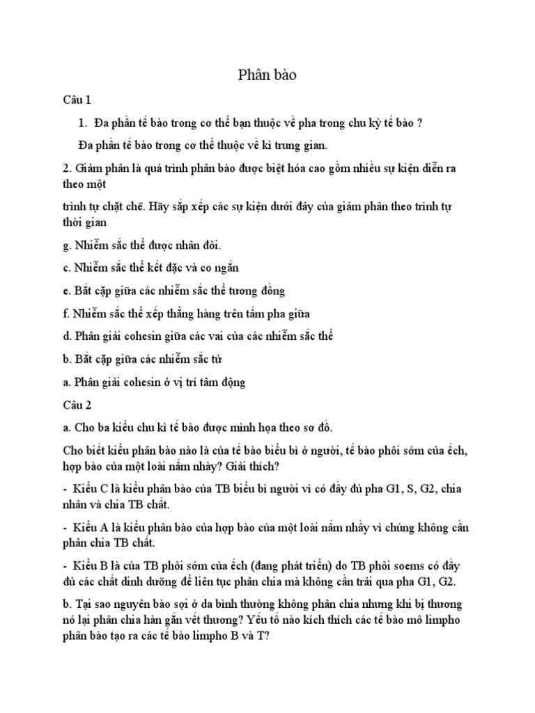 Phân Bào Pdf