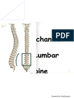 Biomechanics of Lumbar Spine