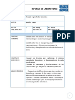 Informe de Laboratorio