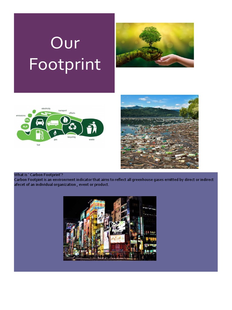 Footprint | PDF