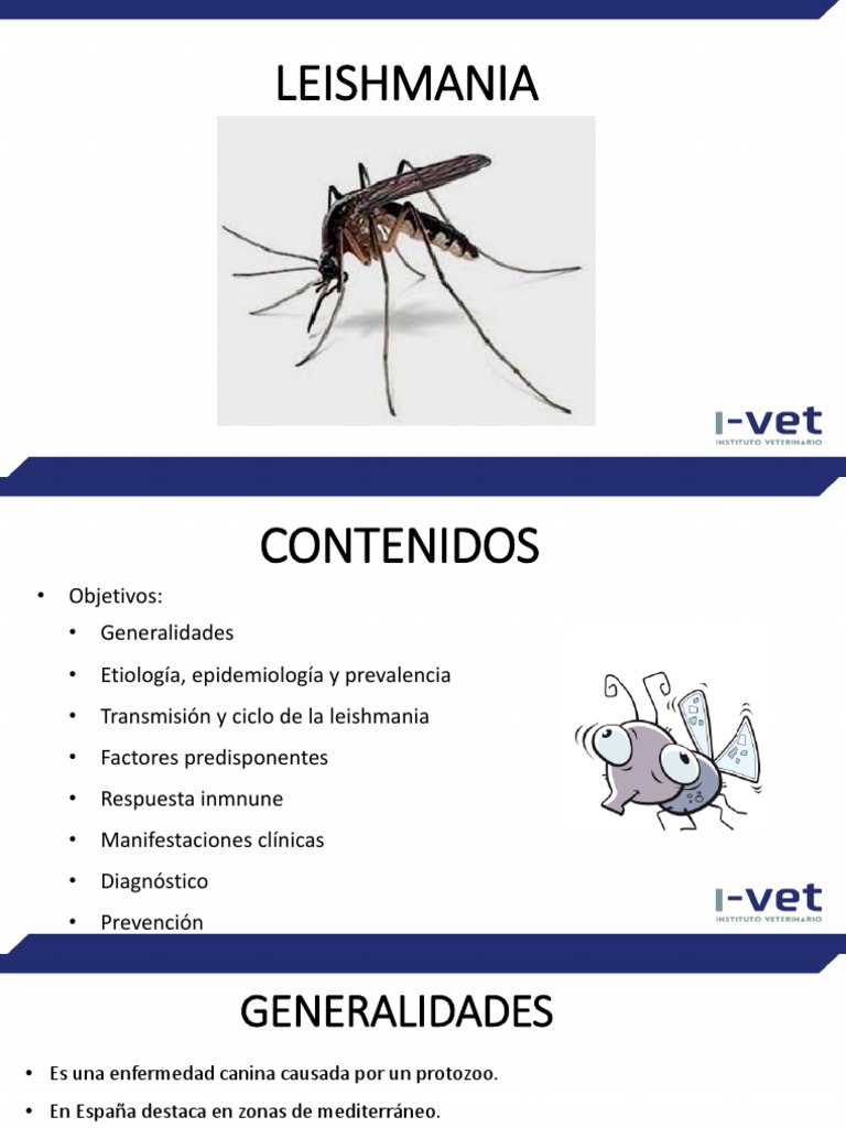 leishmania-pdf-sistema-inmune-leishmania