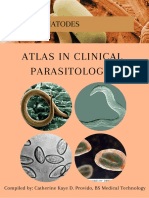 Clinical Parasitology Atlas: Nematodes and Their Eggs