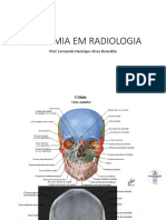 Anatomia em Radiologia - Principais estruturas ósseas e articulações