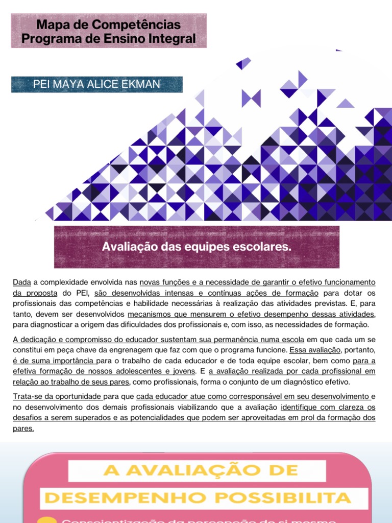 Mapa de Competências do PEI | PDF