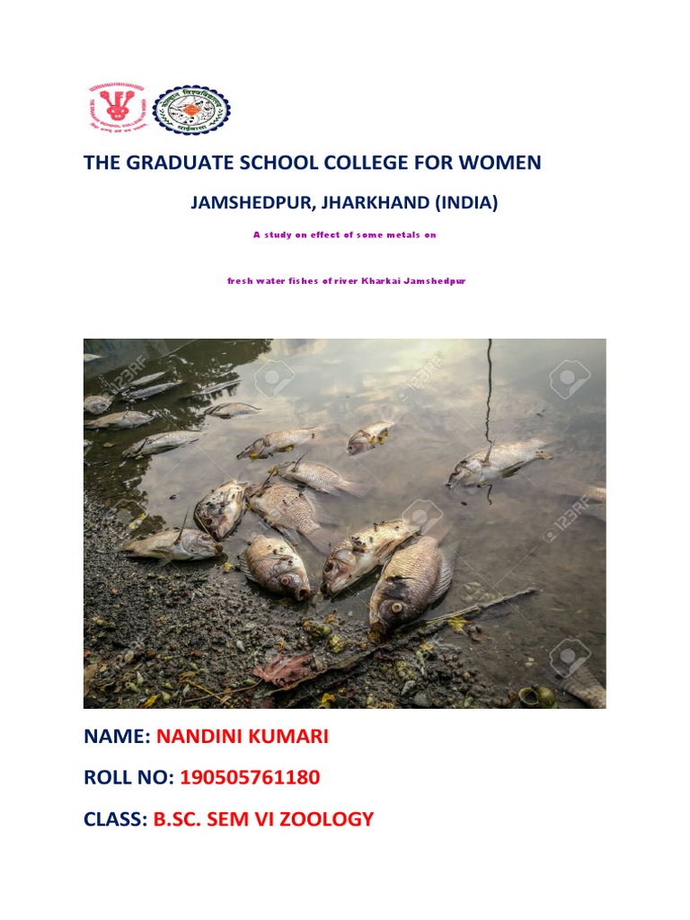 Nandini Final Pdf Water Pollution Water