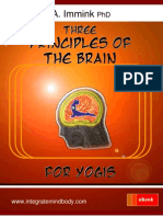Three Principles of The Brain For Yogis