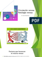 Circulación Venosa