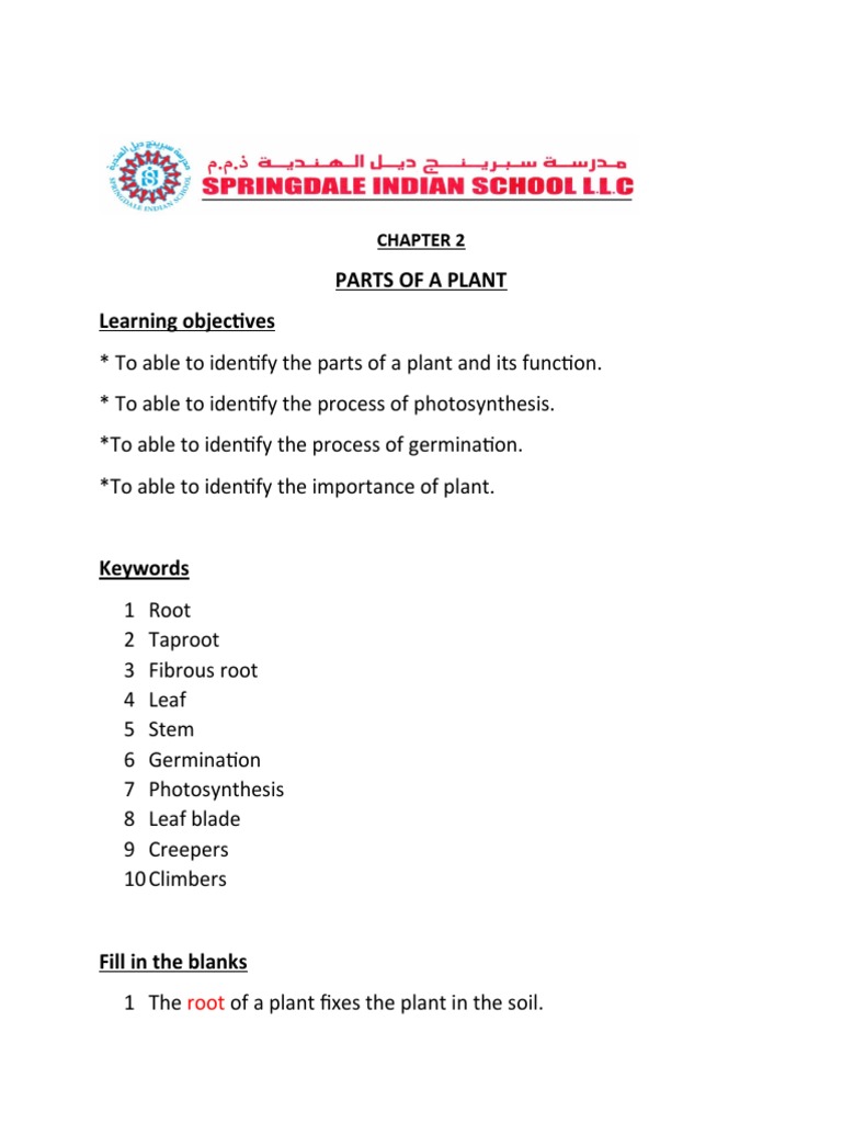 Parts of A Plant Learning Objectives PDF Plants Leaf