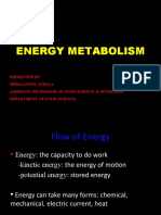 Energy Metabolism