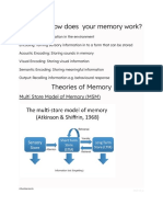 Memory:How Does Your Memory Work?: Multi Store Model of Memory (MSM)