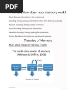 Bahrick's Study on LTM Duration | PDF | Long Term Memory | Memory