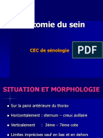Anatomie Du Sein: CEC de Sénologie