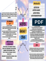 Aceites Grasas Y Ceras: Definicion Tipos de Aceite