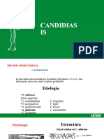 Candidias IS