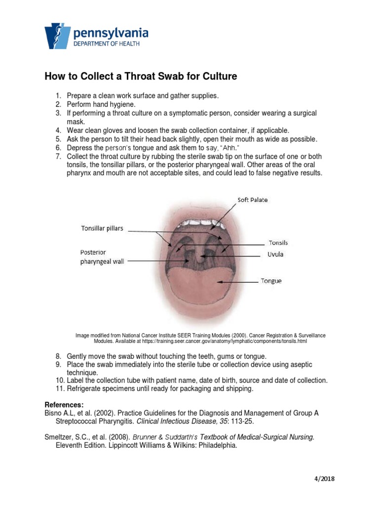 Throat Swab Collection Procedure Guide | PDF