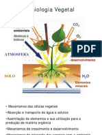 Relachidricas1 FV