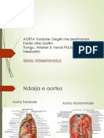 AORTA Torakale - Degët Me Destinacion Koken Dhe Qafen