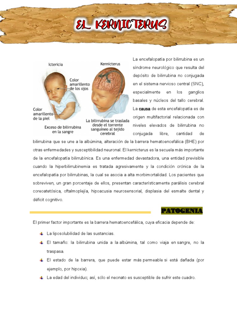 Kernicterus: Causas y Secuelas Neonatales | PDF | Especialidades ...