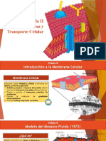 Célula II Membrana y Transporte Celular