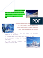 Iarna - Docx Proiect Finalizat