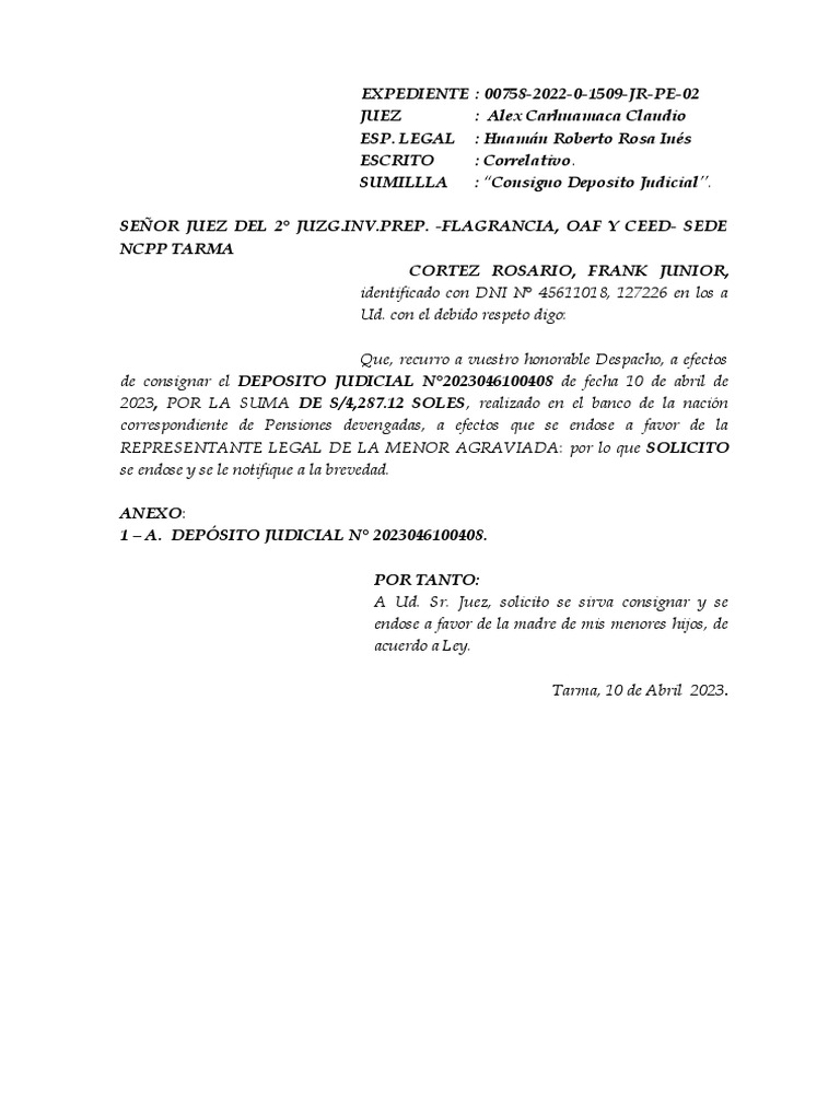 CONSIGNACION DE DEPOSITO JUDICIAL PDF