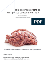 O Que Acontece Com o Cérebro de Uma Pessoa Que Aprende A Ler?