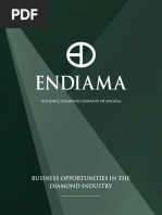 Endiama Digital Brochure