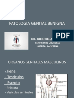 Patologia Genital Benigna