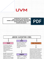 Mapa Conceptual