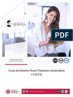 Curso Derecho Penal PDF