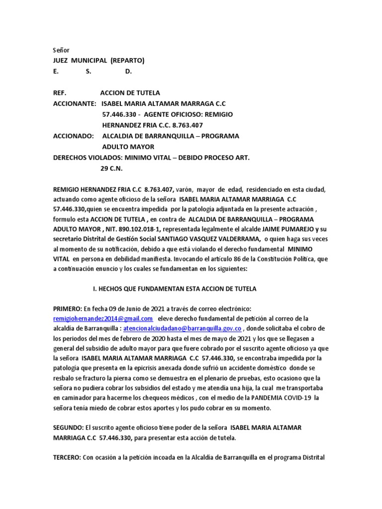 Accion de Tutela | PDF
