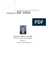 Mauricio H.V