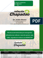 Eficiência Dos Herbicidas em Plantas Daninhas Powerpoint - SULBORO v.09.03.2021