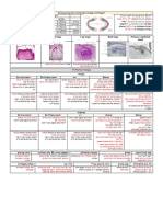 פדודונטיה למבחן גמר 2018 PDF