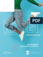 Desarrollador Informático en Python PDF