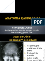 Anatomia Radiologica Completo - Aula