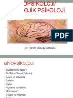 Hyc.1.kisa - Biyopsikolojiye Giris PDF