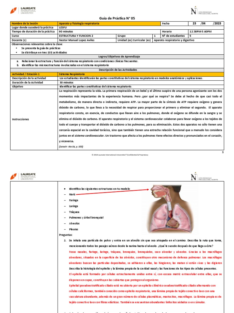 Copia de GUIA DE PRACTICA 05 Fisiología Respiratoria GRUPO 1 | PDF ...