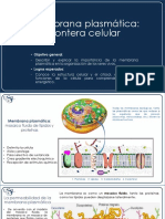 Tema5 GB-2023-1 PDF