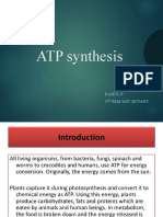 atp synthesis.pptx