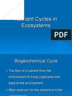Lecture 4 Nutrient Cycles