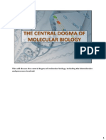 The Central Dogma of Molecular Biology