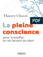 Thierry Chavel: Pleine Conscience