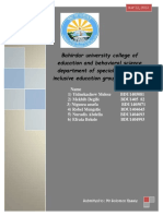 Bahirdar University Group Assignment on Special Needs Education