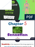 Chapter 5 Sensation Lesson 1 PDF